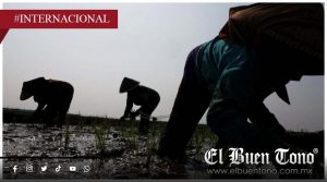 NOAA confirma formación de El Niño en el Pacífico