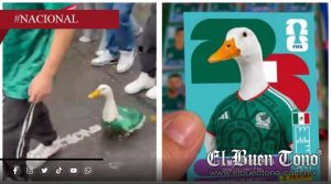Merlín, el pato que se convirtió en la mascota viral del Mundial 2026