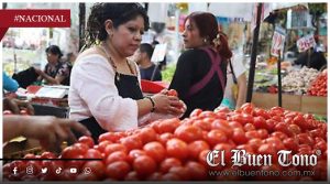 El campo sin respaldo y el jitomate por las nubes