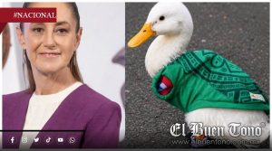 Claudia Sheinbaum invitará a ‘Merlín’, el patito viral del Mundial 2026, a ‘La Mañanera’