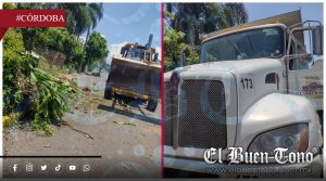 VIDEO|Arbitrariedad municipal: Invaden, talan y simulan contra la inseguridad