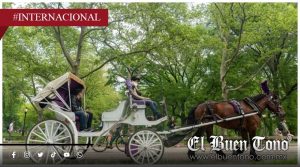 Tragedia en Central Park: Muɛrɛ turista tras accidente en carruaje de caballos