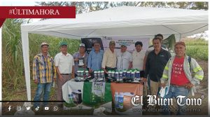 ⚠️ Cañales de Veracruz: 80 % de las parcelas afectadas por el hongo Fusarium