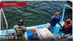 Aseguran lancha con 250 kilos de pepino de mar en costas de Yucatán