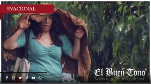 SMN alerta por lluvias intensas en gran parte de México del 29 de junio al 2 de julio