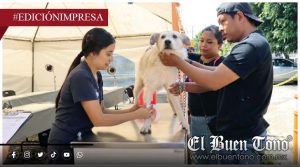 Juegan con salud de mascotas; ENGAÑO EN MASCORI