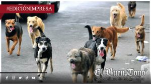 Gusano no ha desaparecido; continúa presente en las Altas Montañas