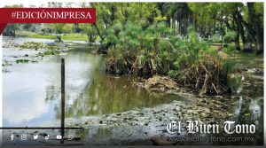 Abandonan la laguna El Porvenir; falta de iluminación y contaminación
