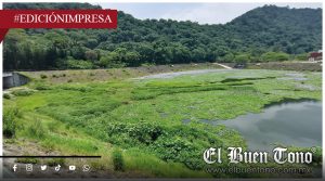 El Chirimoyo en peligro; Lirio acuático se propaga