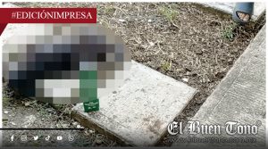 Envɛnɛnamiɛnto masivo de mascotas; denuncian autoridades omisas