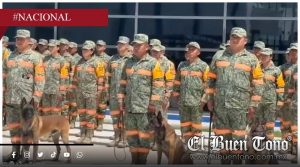 México envía 18 binomios caninos a Venezuela para búsqueda de sobrevivientes tras sismos