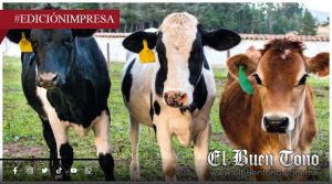 Provoca plaga parálisis ganadera; gusano barrenador golpea la economía