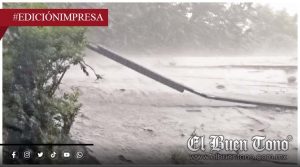 Lluvias dejan sin luz a Rancho Trejo; hacen caer varios árboles