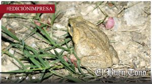 Evite ataques contra la fauna; HÁBITATS DESTRUIDOS