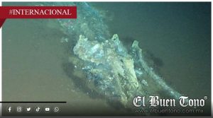 Cementerio de ballenas de millones de años es hallado en el océano Índico