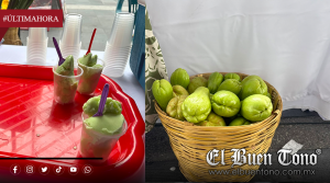 De un cultivo regional a un postre único; nieve de chayote pone en alto a Ixhuatlán del Café