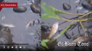 Ecocidio en Río Tizapa enciende alertas; exigen investigar descargas industriales