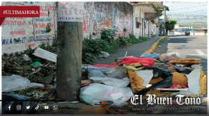 EL COCHINERO DE LIMPIA PÚBLICA: TESORERÍA NIEGA LA INEXISTENCIA DE LA NORMATIVA Y DE DATOS DE RECAUDACIÓN.