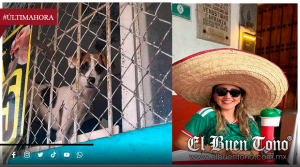 CENTRO DE SALUD ANIMAL SE PASEA EN 80 COLONIAS CON MALTRATO Y REPORTA ¡CERO MULTAS!