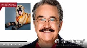 Señalan a Pedro Sola por presunto maltr4to a Pay de Limón, perrito rescatado
