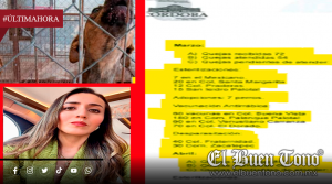 CENTRO DE SALUD ANIMAL DE CÓRDOBA REGISTRA REZAGO EN QUEJAS Y BAJAS ADOPCIONES