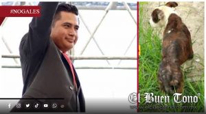 Alcalde de Nogales ignora denuncia por presunto m@ltrato animal, acusan vecinos