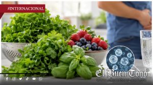 Cilantro y perejil del centro de México, bajo sospecha por brote de ciclosporiasis en EU