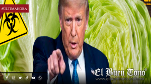 Trump amenaza con imponer arancel a México por brote de ciclosporiasis relacionado con lechuga; autoridades investigan origen