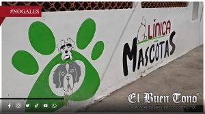 Negligencia en esterilización bajo la lupa