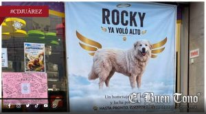 Mvere Rocky; su historia conmueve y reabre el llamado contra el m@ltrat0 animal