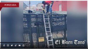 VIDEO|Trabajos sin protección exponen a jaguar y empleados en la UMA de Orizaba