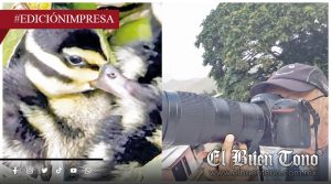 Bioacústica registra 160 especies de aves; convocatoria de la Conabio