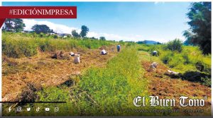 Campo respalda a Rocío Nahle; esperan beneficios reales