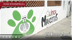 Corrupción de edil Libni mαtα a gatita; solapa fallas en servicio veterinario