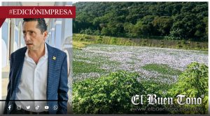 Se asfixia El Chirimoyo; desatienden su rescate