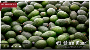 EU reanuda inspecciones para exportación de aguacate en Michoacán, pero mantiene alerta de viaje