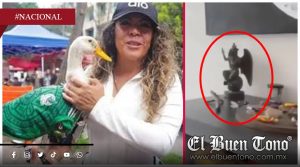 Altar con figura de Baphomet desata polémica en la nueva casa de la dueña del ‘Pato Merlín’