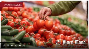 Alertan por caída de exportaciones agroalimentarias de México y riesgo para cadenas con EU