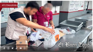 Hallan 13 dragones mexicanos ocultos en paquete que sería enviado a Hong Kong