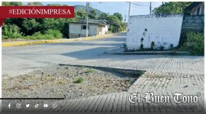 Omisión pone vidas en riesgo; tras derribe de árbol en Atzacan