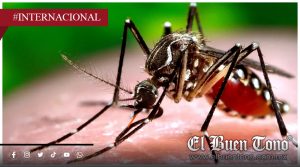 Florida activa alerta sanitaria por casos de dengue en tres condados
