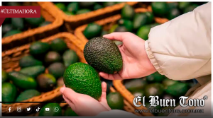 CERTIFICADO LABORAL SERÁ REQUISITO PARA EXPORTAR AGUACATE A PARTIR DEL 1 DE OCTUBRE