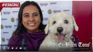 ¡Camina con tu lomito! Sedema convoca a la gran carrera con causa ‘dejando huella’