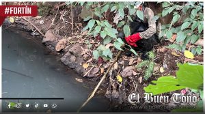 ¡Van tras los cocodrilos del arroyo Toribio!