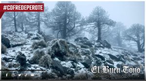 Casi mil concesiones de agua presionan los mantos acuíferos del Cofre y Valle de Perote