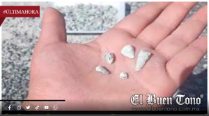“Ellos saben perfectamente”: activista afirma que autoridades conocían hallazgo de 1,600 piezas dentales en Michoacán