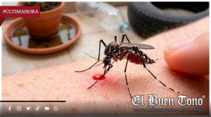 Veracruz suma tres defunciones confirmadas por dengue; hay 20 casos en estudio