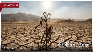Advierten que ‘El Niño’ podría ser uno de los más intensos y prolongarse hasta 2027