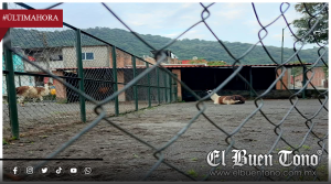 MUERE CRÍA DE LLAMA EN LA UMA CITLALTÉPETL Y AHORA BUSCAN OTRA PARA SUSTITUIRLA