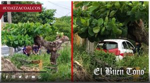 H@llan cverpo de un hombre dentro de taxi abandonado en Coatzacoalcos
